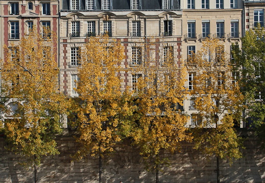 IMH 1852