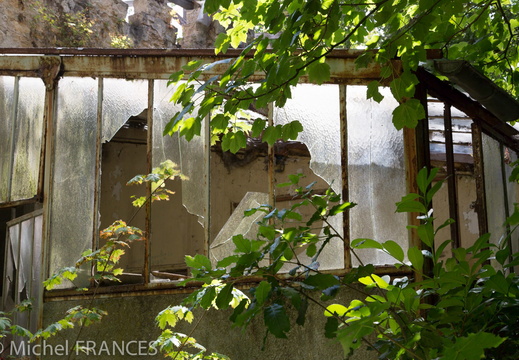 Paris-nature-2013-16