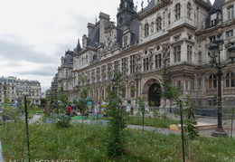 Paris-nature-2013-38