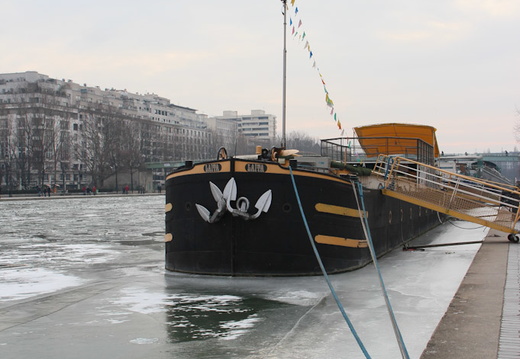 IMH 3135