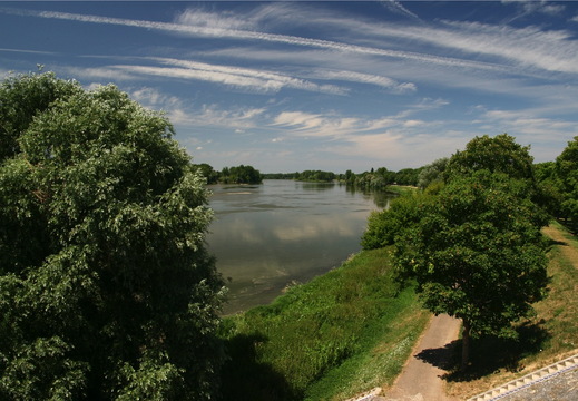 IMG 7658.JPG