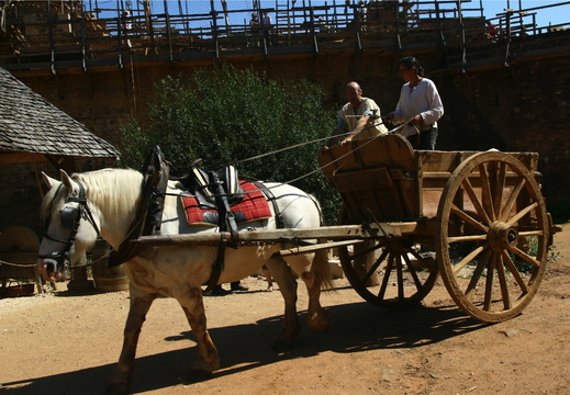 IMG 7730.JPG