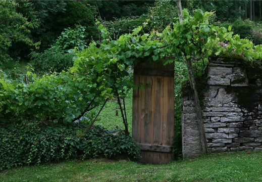 IMG 7805.JPG