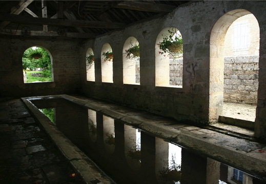 IMG 7816.JPG