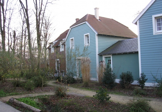 IMG 0974-small.JPG