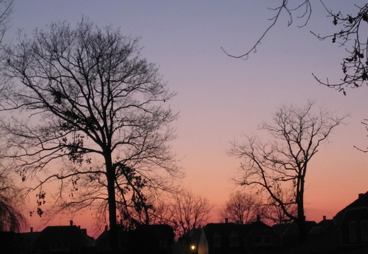 IMG 1013-small.JPG