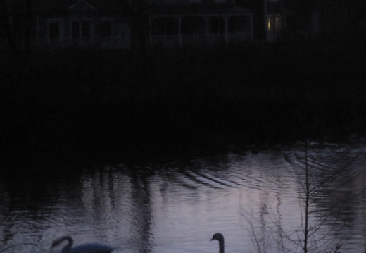 IMG 1016-small.JPG