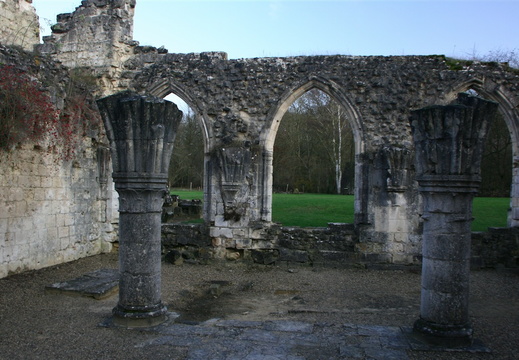 IMG 8296-small.JPG