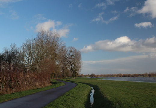 IMH 2753