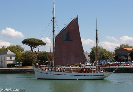 Ile d-Aix juin 2014 007