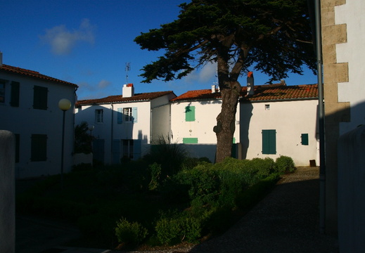 IMG 6807.JPG