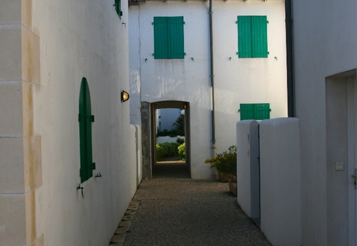 IMG 6809.JPG