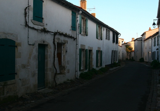 IMG 6811.JPG