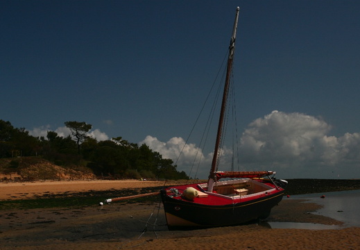 IMG 6846.JPG