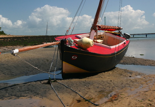 IMG 6847.JPG