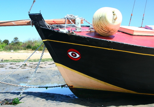 IMG 6848.JPG