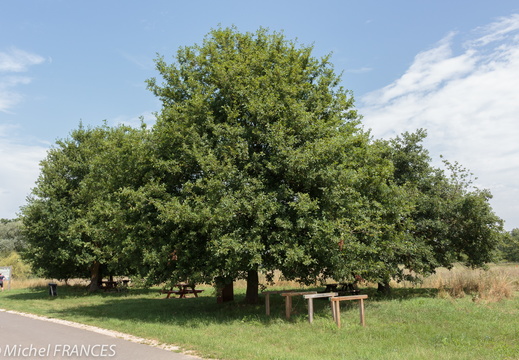 LoireAVelo-32