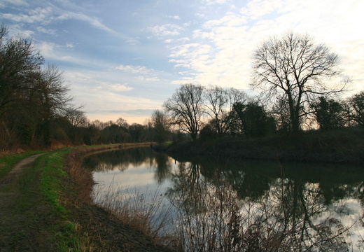 IMG 6563.JPG