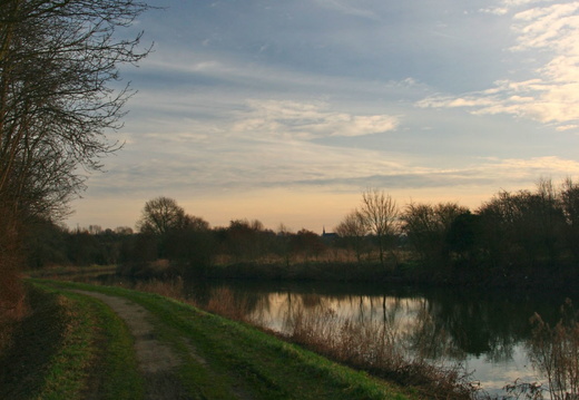 IMG 6564.JPG