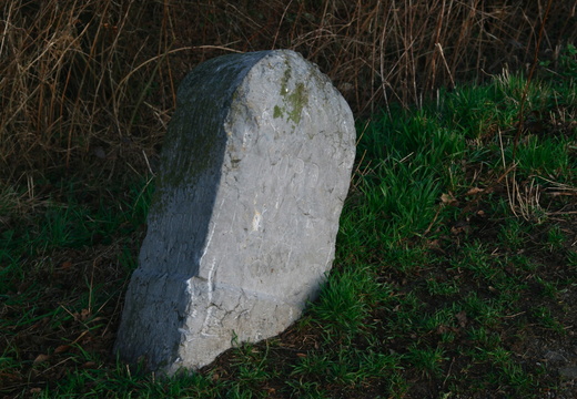 IMG 6566.JPG