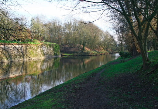 IMG 6577.JPG