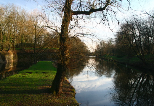 IMG 6579.JPG