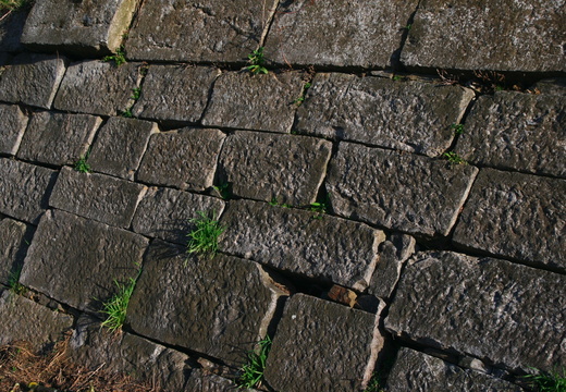 IMG 6580.JPG