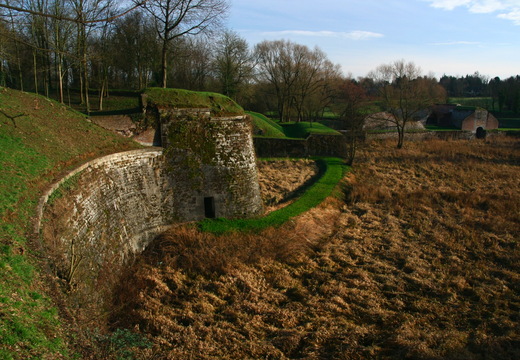 IMG 6584.JPG