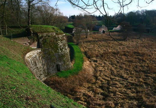 IMG 6585.JPG