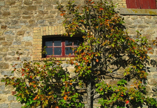 PICARDIE 193.JPG
