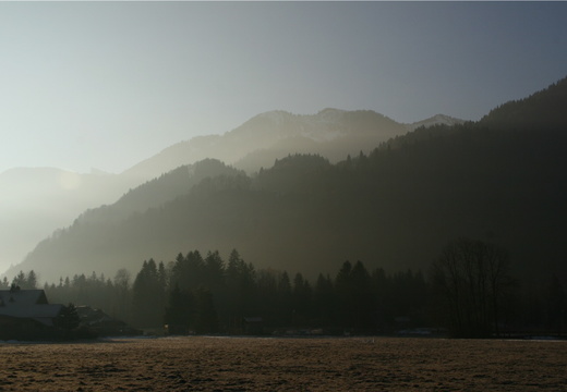 IMG 9817-small.JPG
