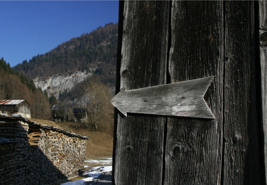 IMG 9867-small.JPG