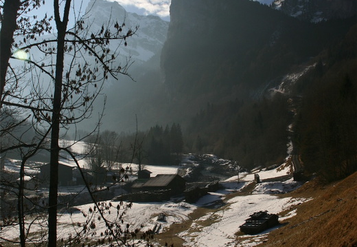IMG 9874-small.JPG