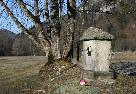 IMG 9906-small.JPG