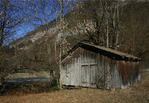 IMG 9909-small.JPG
