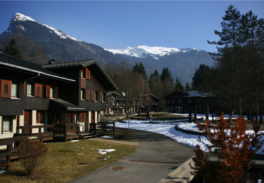 IMG 9965-small.JPG