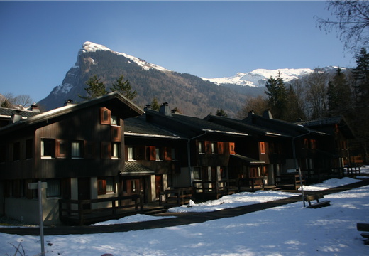 IMG 9967-small.JPG