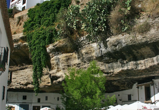 IMG 9468-small.JPG