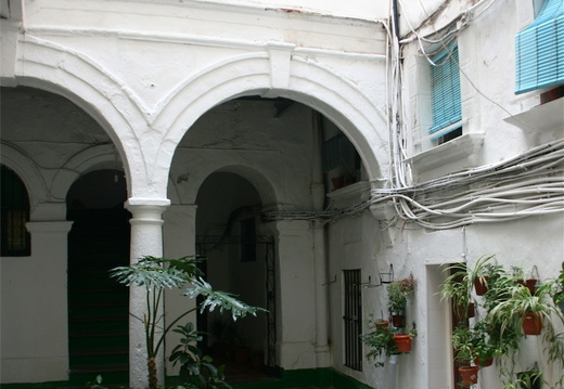 IMG 9545-small.JPG