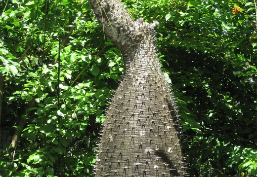 IMG 2164-small.JPG