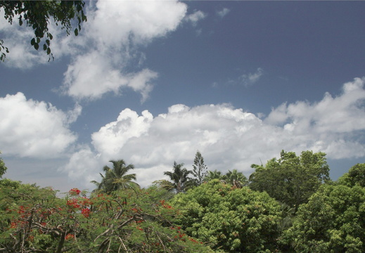 IMH 0597-small.JPG