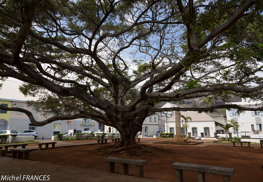 La Reunion novembre 2013-100