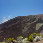 La Reunion novembre 2013-202