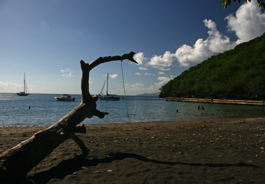 IMG 8953