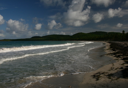 IMG 9057