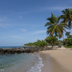 Martinique2013-108