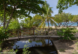 Martinique2013-110