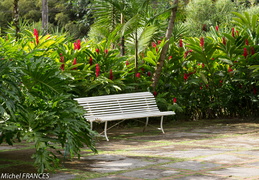 Martinique2013-150