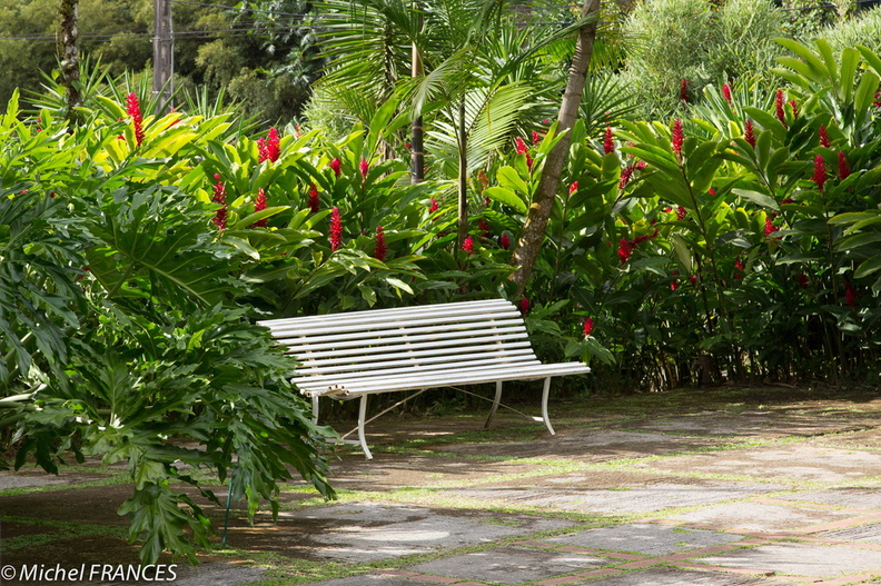Martinique2013-150.jpg