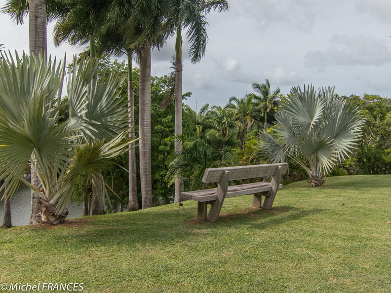 Martinique2013-171.jpg